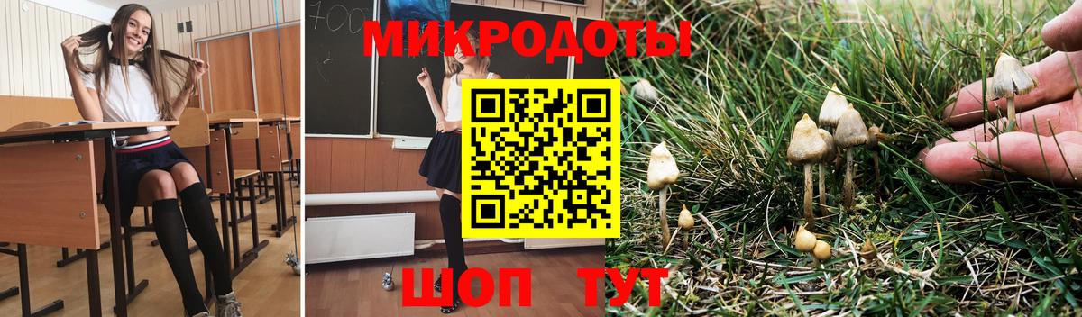 Галлюциногенные грибы Psilocybe  Вход с VPN  Вышний Волочёк 
