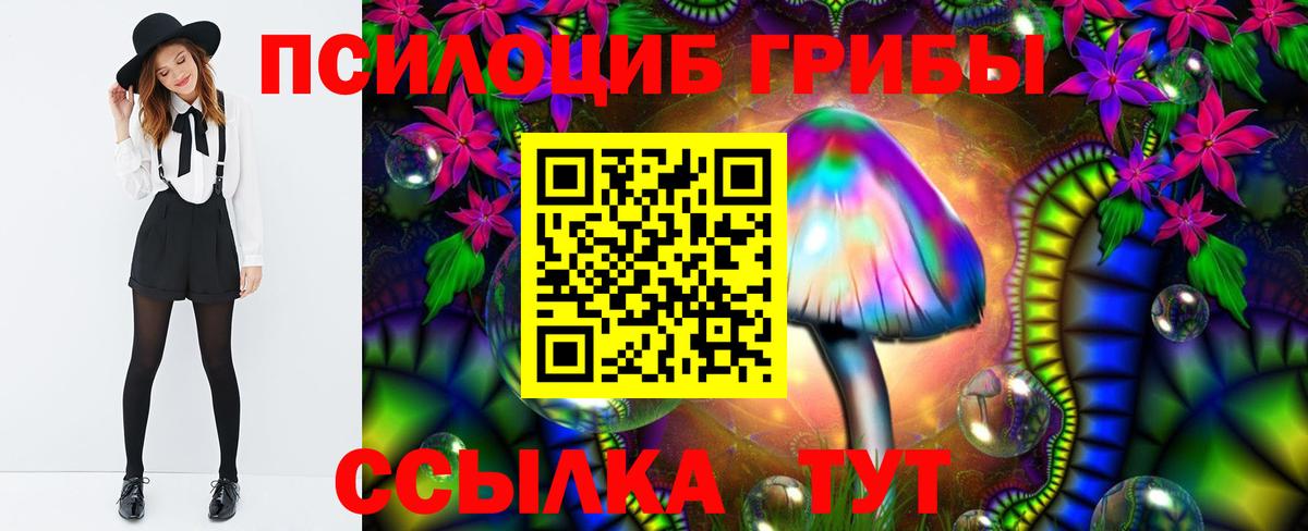 Галлюциногенные грибы MAGIC MUSHROOMS Вышний Волочёк